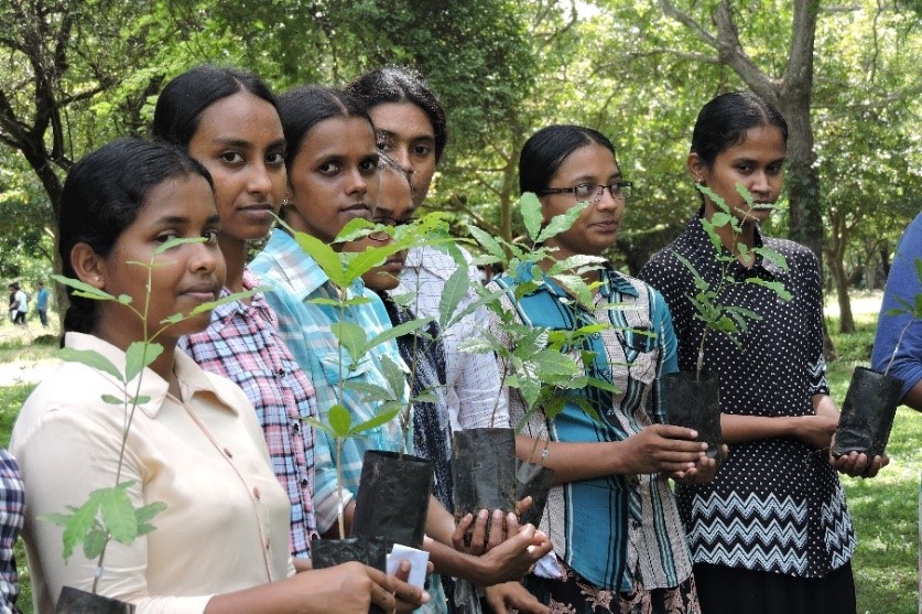 Tree planting program in Rajarata University premises